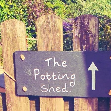 The Potting Shed Near Tenby, 100" Projector, Four Poster Bed, On-Site Hot Tub Access Via Spa Pack, Breakfast Exteriér fotografie